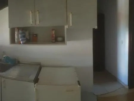 Apartment Luki